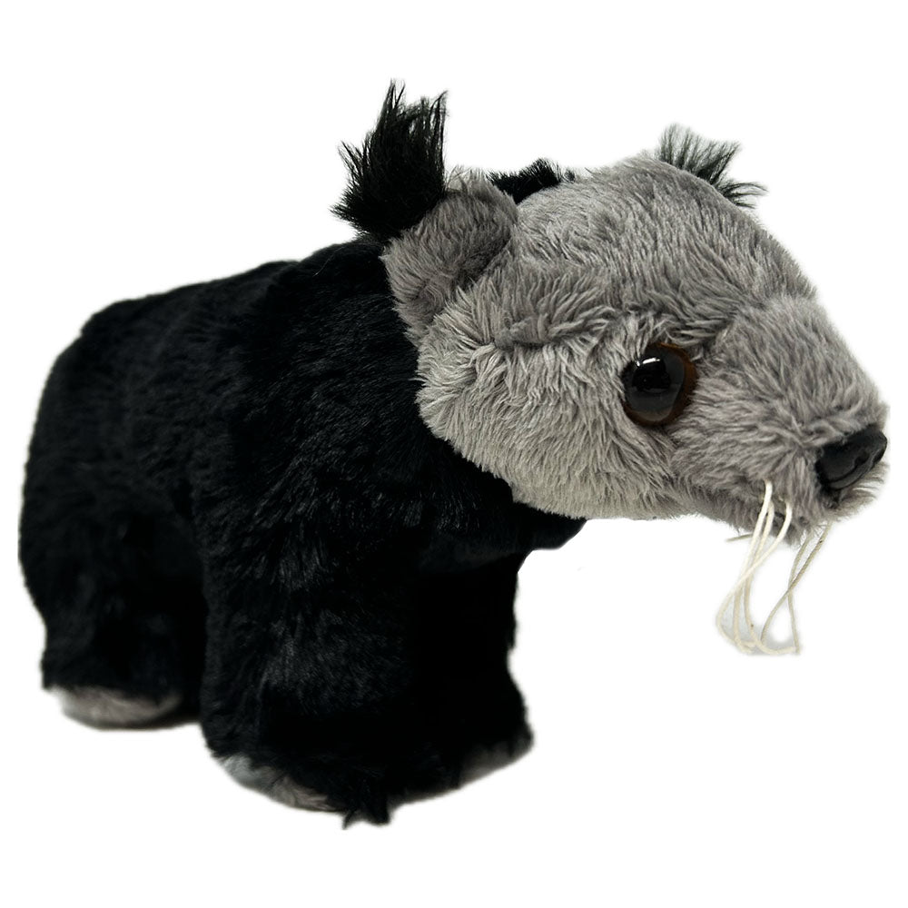 Binturong Soft Toy 15cm