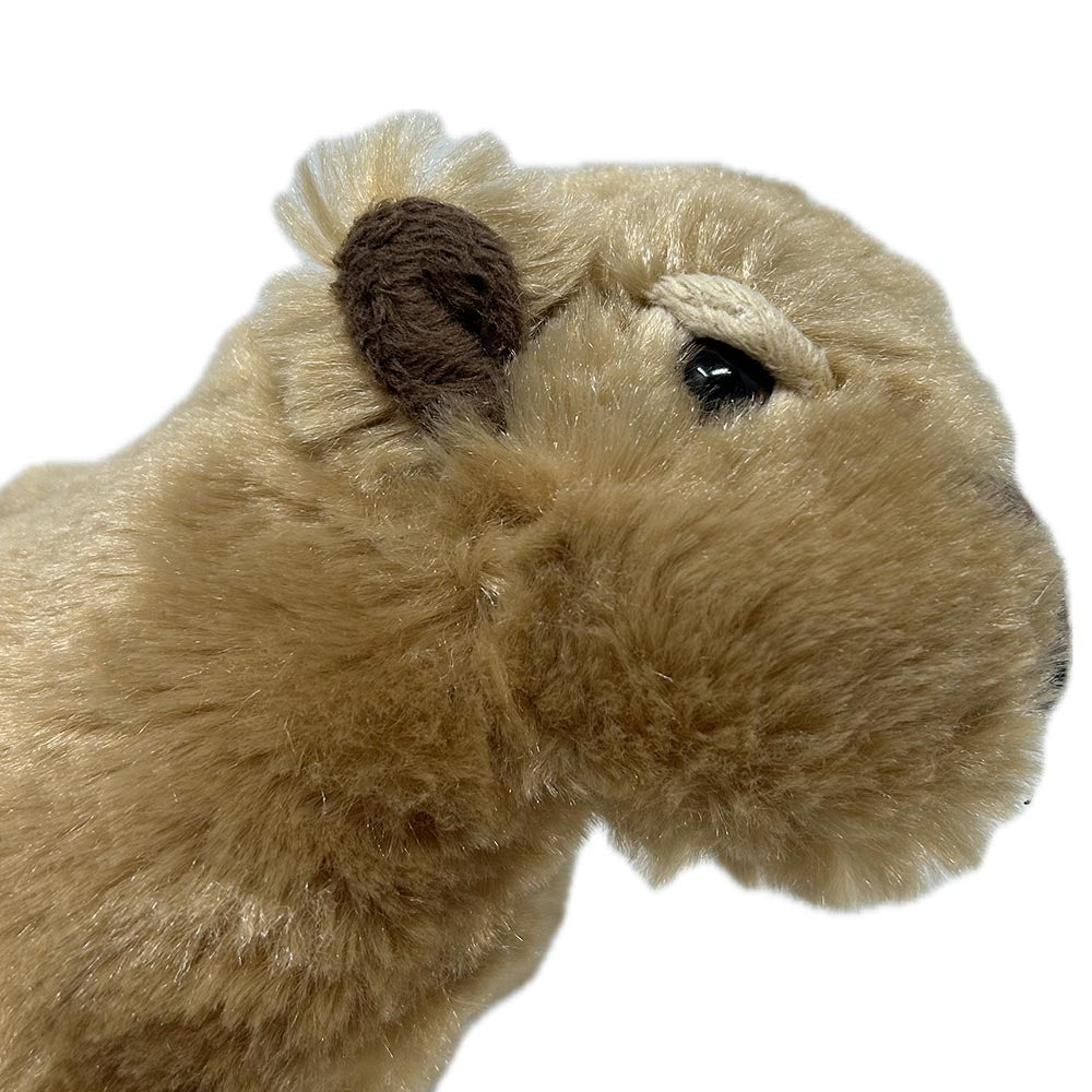 Get your paws on this Capybara soft toy. Thick plush fur, fluffy ears, a soft felt nose and hooded eyes captures the quirkiness of the delightful Capybara. Stuffed with PET recycled material to make this furry pal not only adorable but also environmentally friendly.