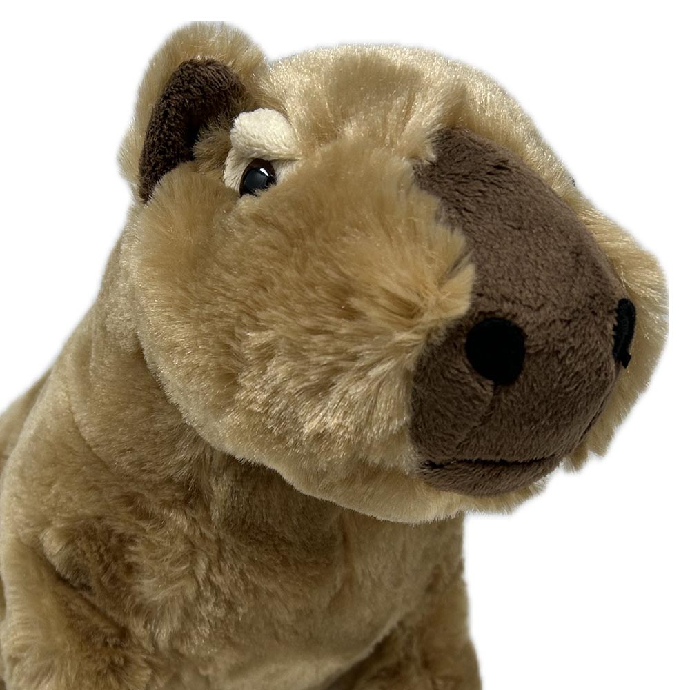 Get your paws on this Capybara soft toy. Thick plush fur, fluffy ears, a soft felt nose and hooded eyes captures the quirkiness of the delightful Capybara. Stuffed with PET recycled material to make this furry pal not only adorable but also environmentally friendly.