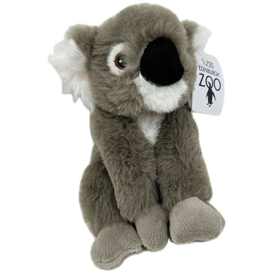 Get your paws on the Edinburgh Zoo branded Koala soft toy from Ravensden Eco Collection at RZSS.