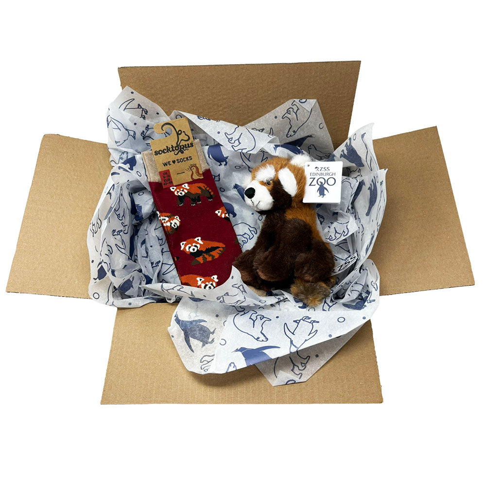 Red panda adult gift