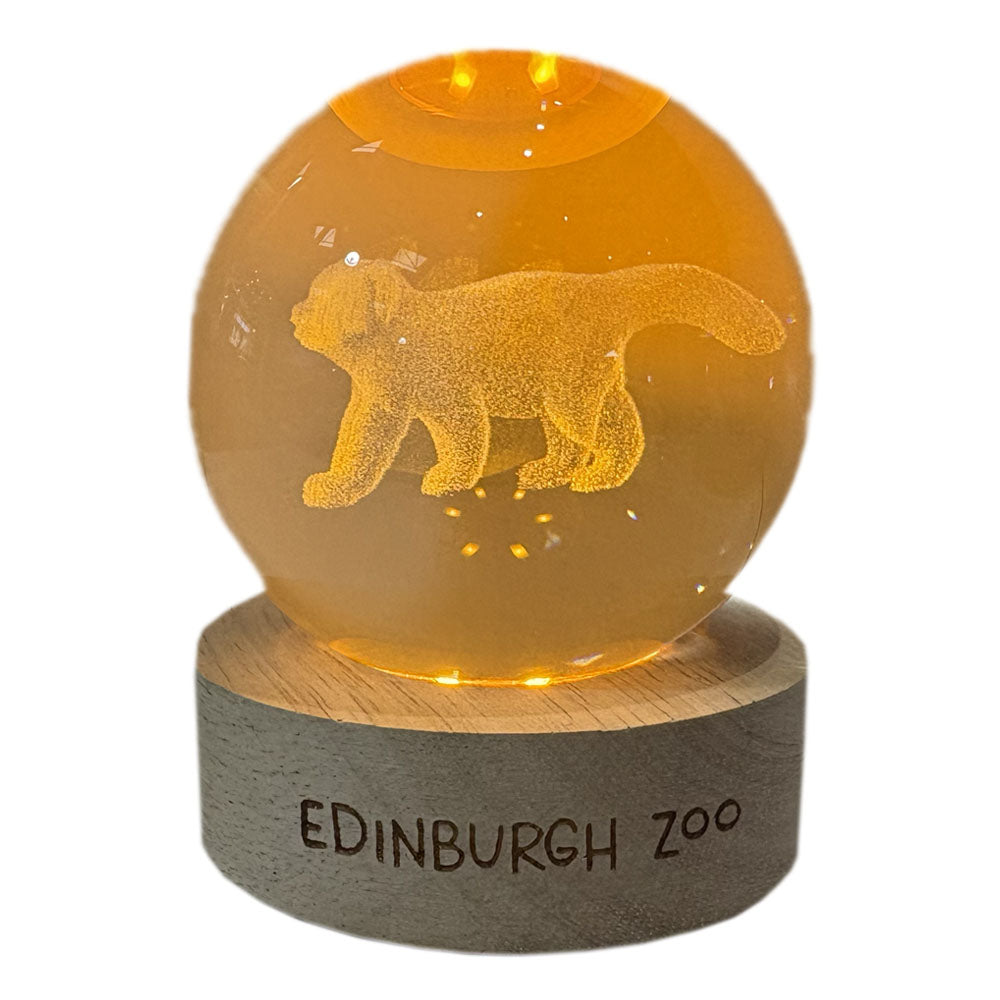 Edinburgh Zoo red panda light up crystal globe