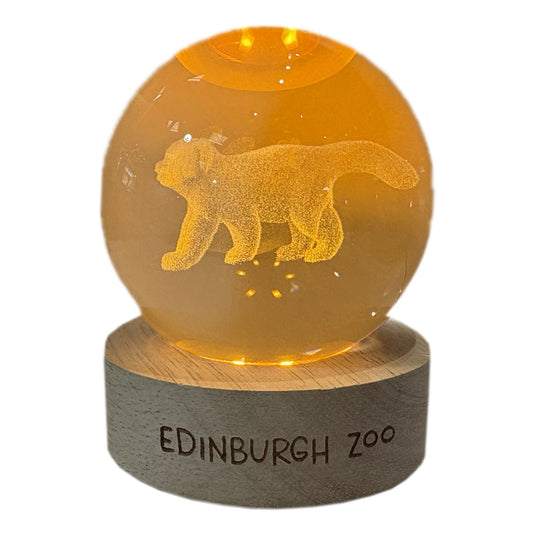 Edinburgh Zoo Red Panda Light Up Crystal Globe