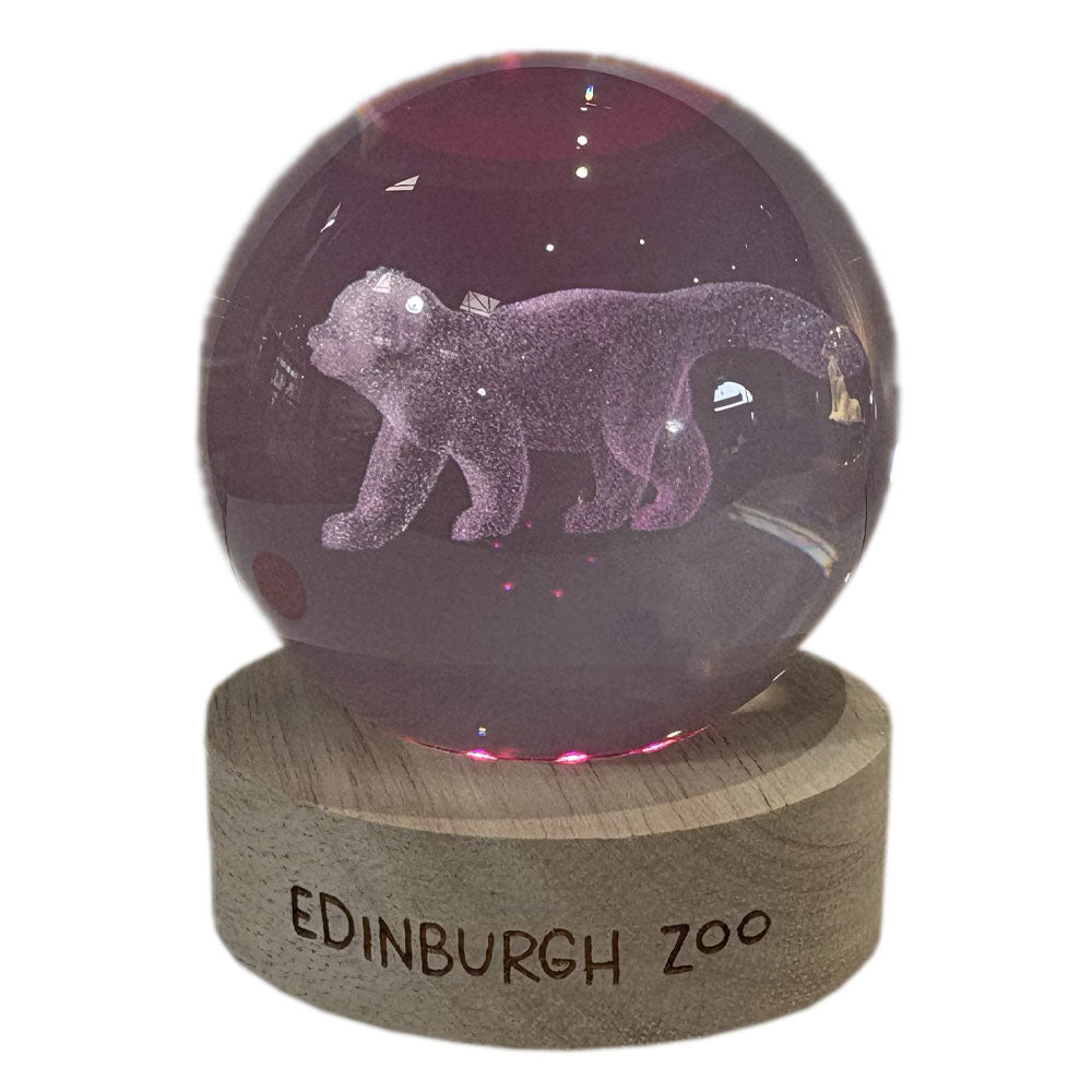 Edinburgh Zoo red panda light up crystal globe