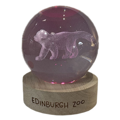 Edinburgh Zoo red panda light up crystal globe