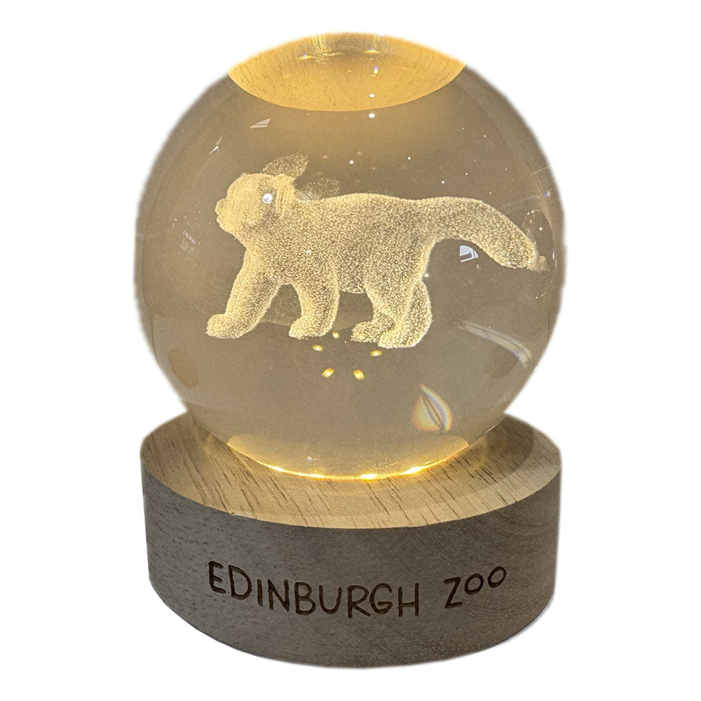Edinburgh Zoo red panda light up crystal globe