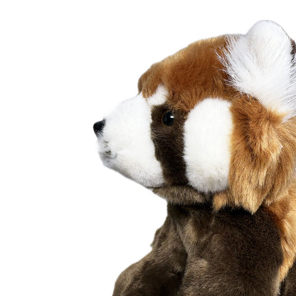 Edinburgh Zoo Red Panda Soft Toy - Plan L