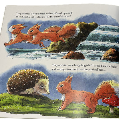 Rowan The Red Squirrel Book Lynne Rickards Jon Mitchell