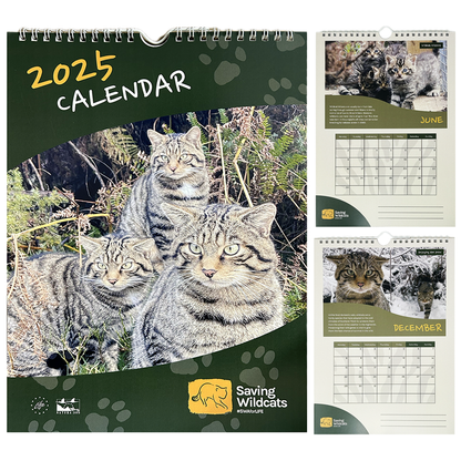 Saving Wildcats Calendar 2025