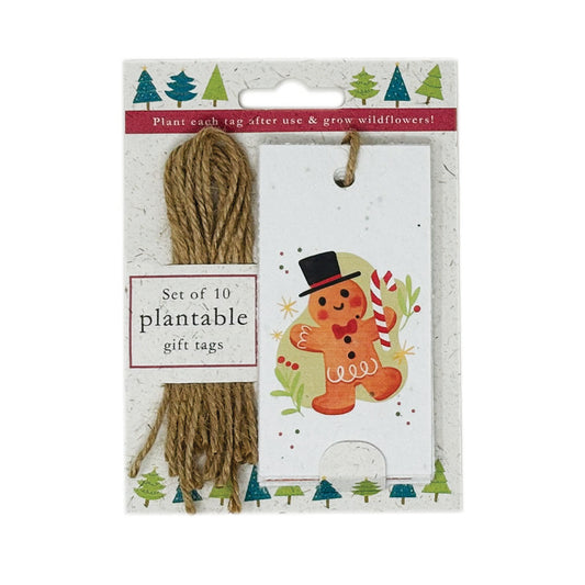 Christmas is all Around Plantable Gift Tags