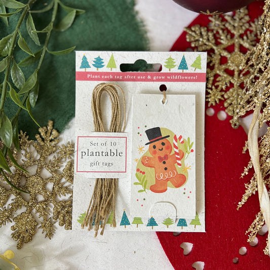 Christmas is all Around Plantable Gift Tags