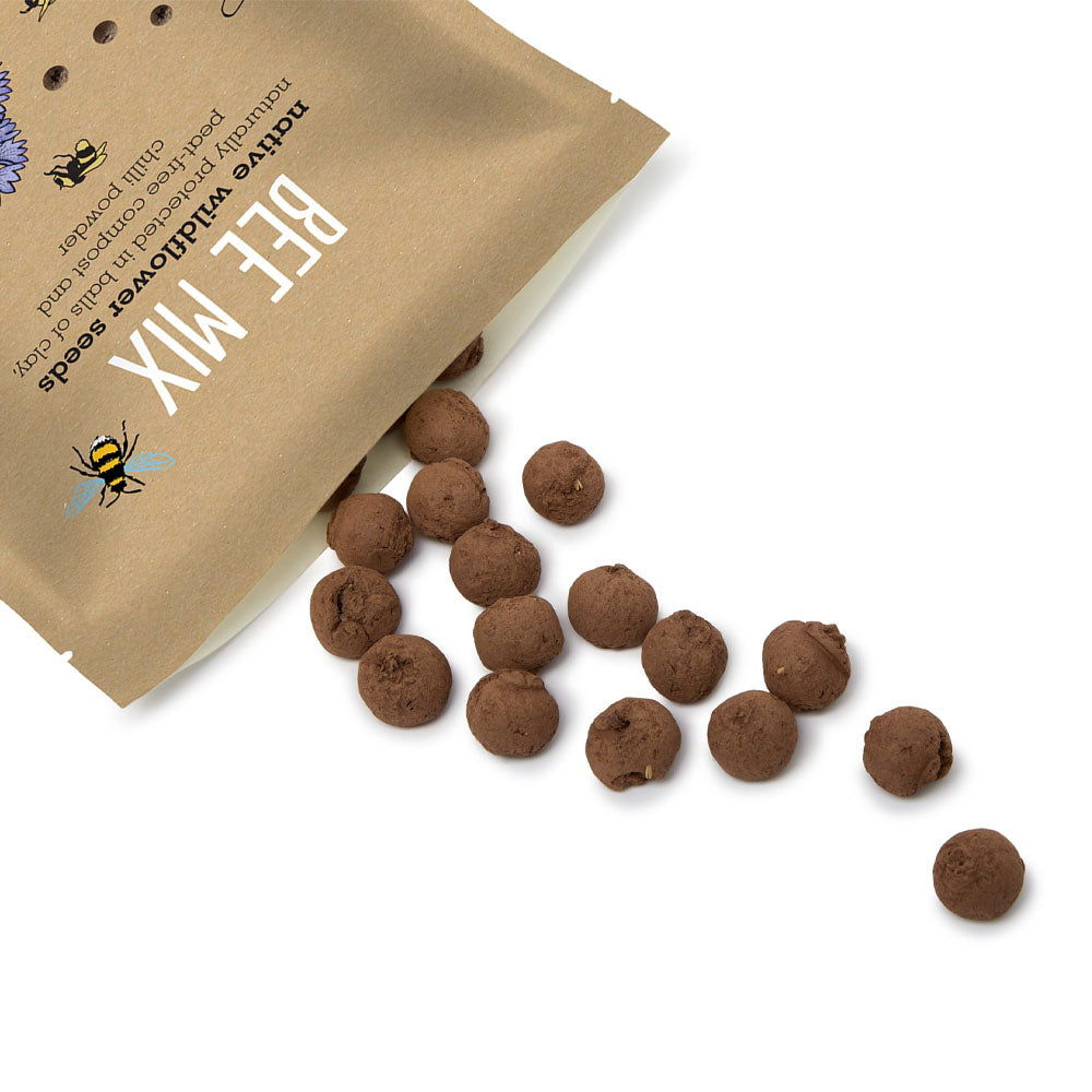 wildflower seeds scotland Wildlife mix seedball grab bag – Royal Zoological Society of Scotland
