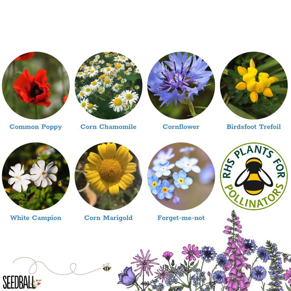 Each tin contains 20 seed balls, each with approximately 30 bumblebee-friendly wildflower seeds. These make for lovely gardening gifts, bee gifts, eco friendly gifts or birthday gifts. They will work well in window boxes, balcony pots, garden beds and wildlife gardens.