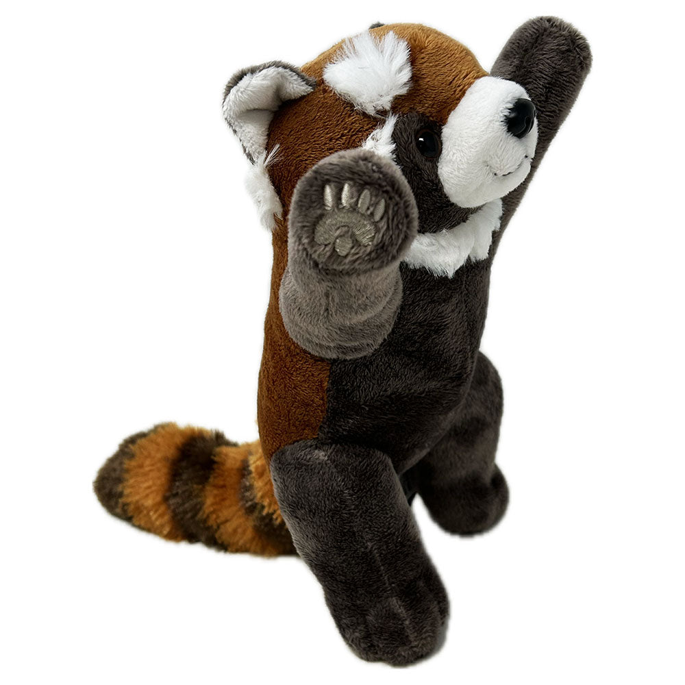 Get your paws on this adorable Standing Red Panda Soft Toy stuffed with a mixture of toy stuffing and beans for balance.

This toy has a variety of plush from a smooth belly, bushy tail and fluffy eyebrows. Shiny eyes, a stiff nose and the sweetest embroidered toe beans make this toy a must have.

Read about our Red Pandas Bruce &amp; Priya here.

22cm
