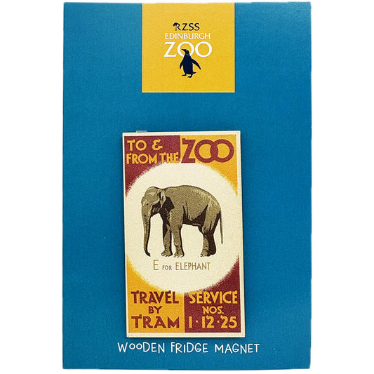 Edinburgh Zoo memories tram posters elephant wooden magnet