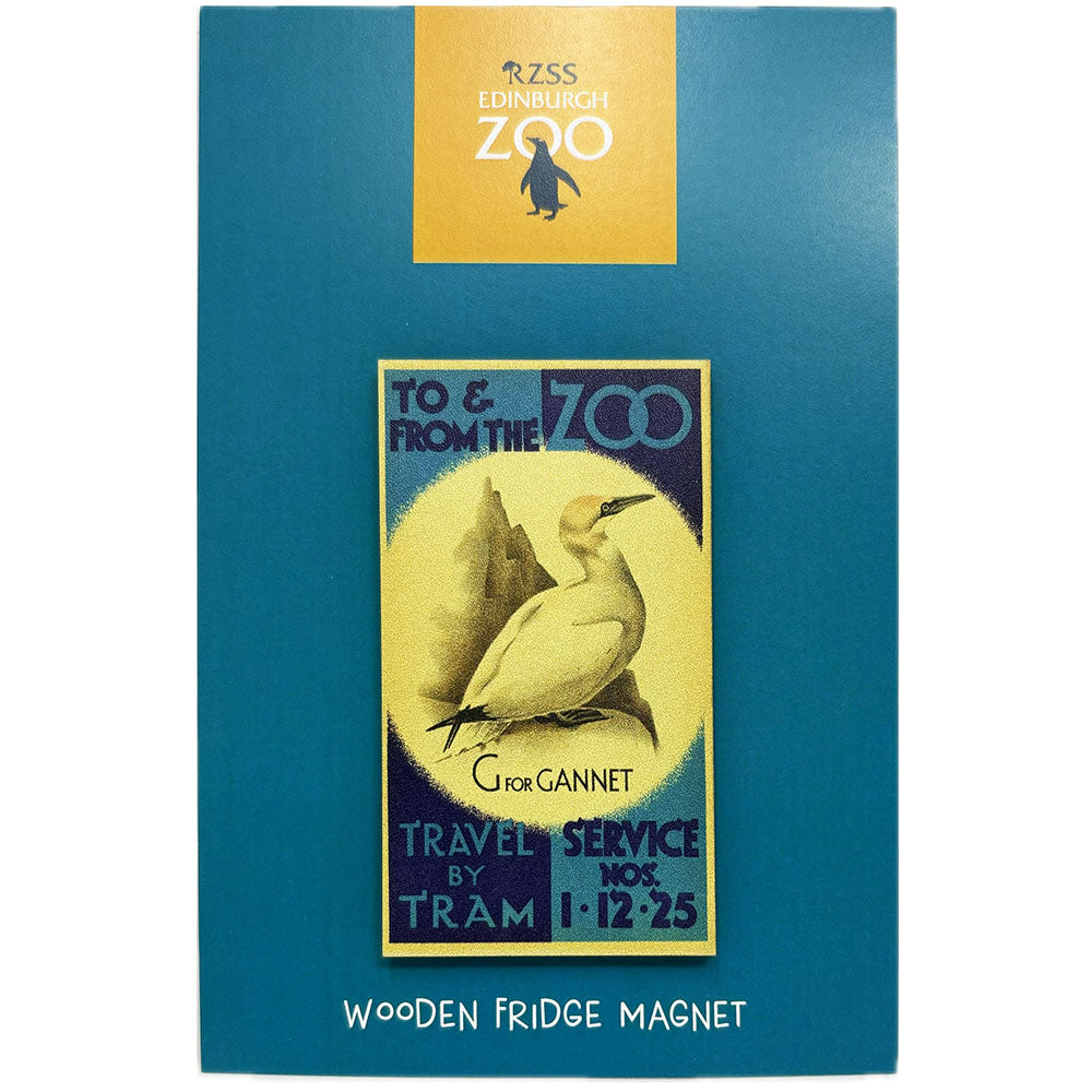 Edinburgh Zoo memories tram posters gannet wooden magnet