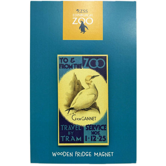 Edinburgh Zoo memories tram posters gannet wooden magnet