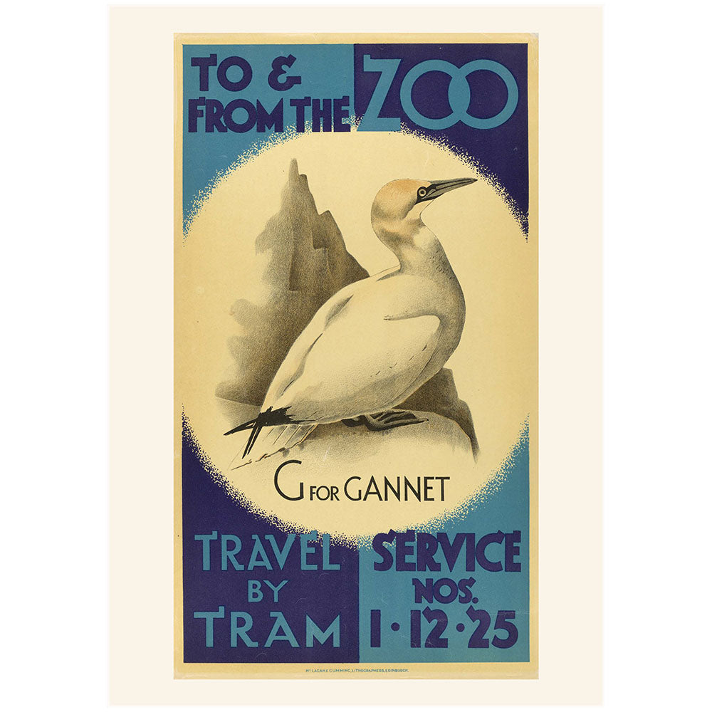 Edinburgh Zoo memories tram posters A4 collection (6 prints)