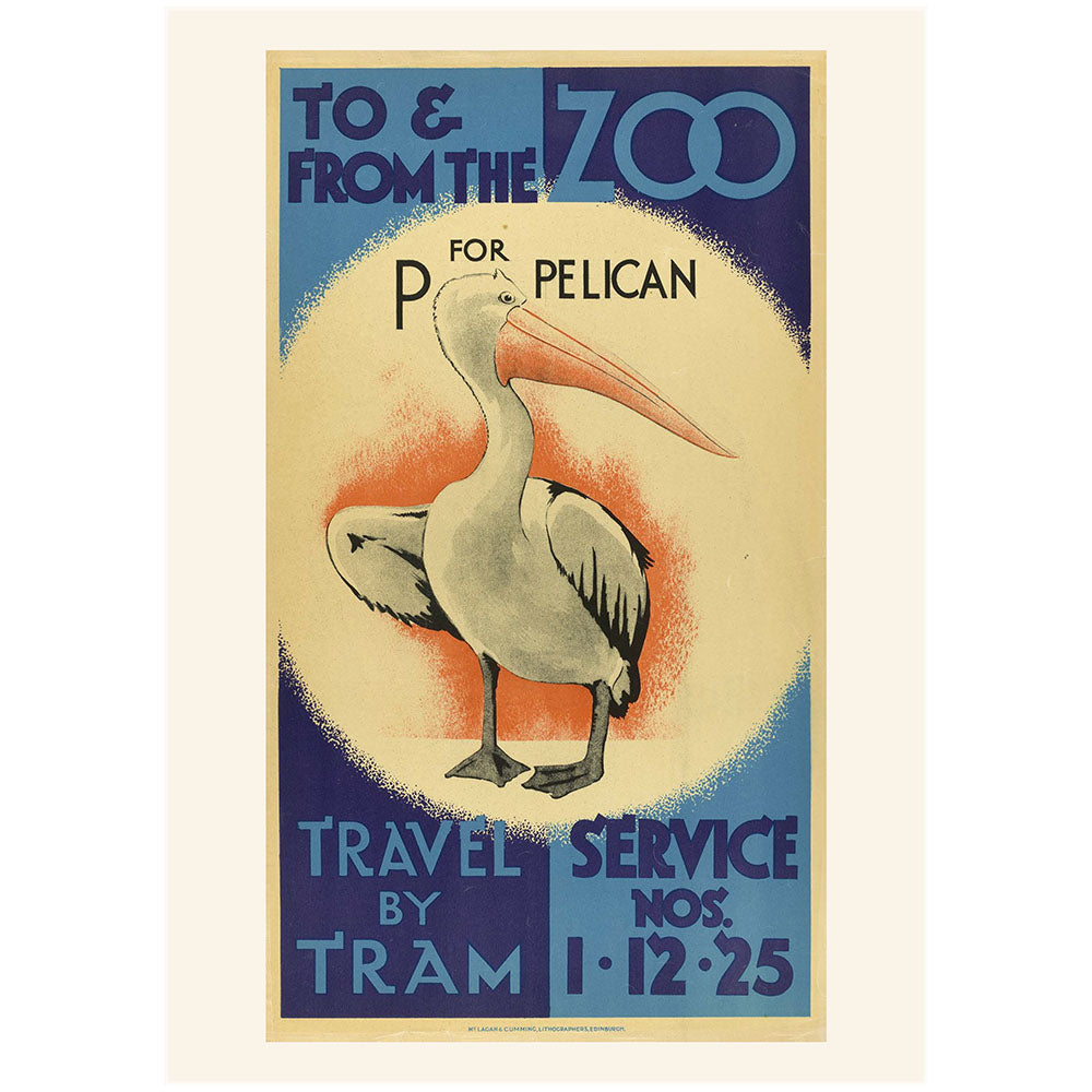 Edinburgh Zoo memories pelican tram posters A4 print