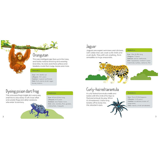 Wild Animals Book and Jigsaw