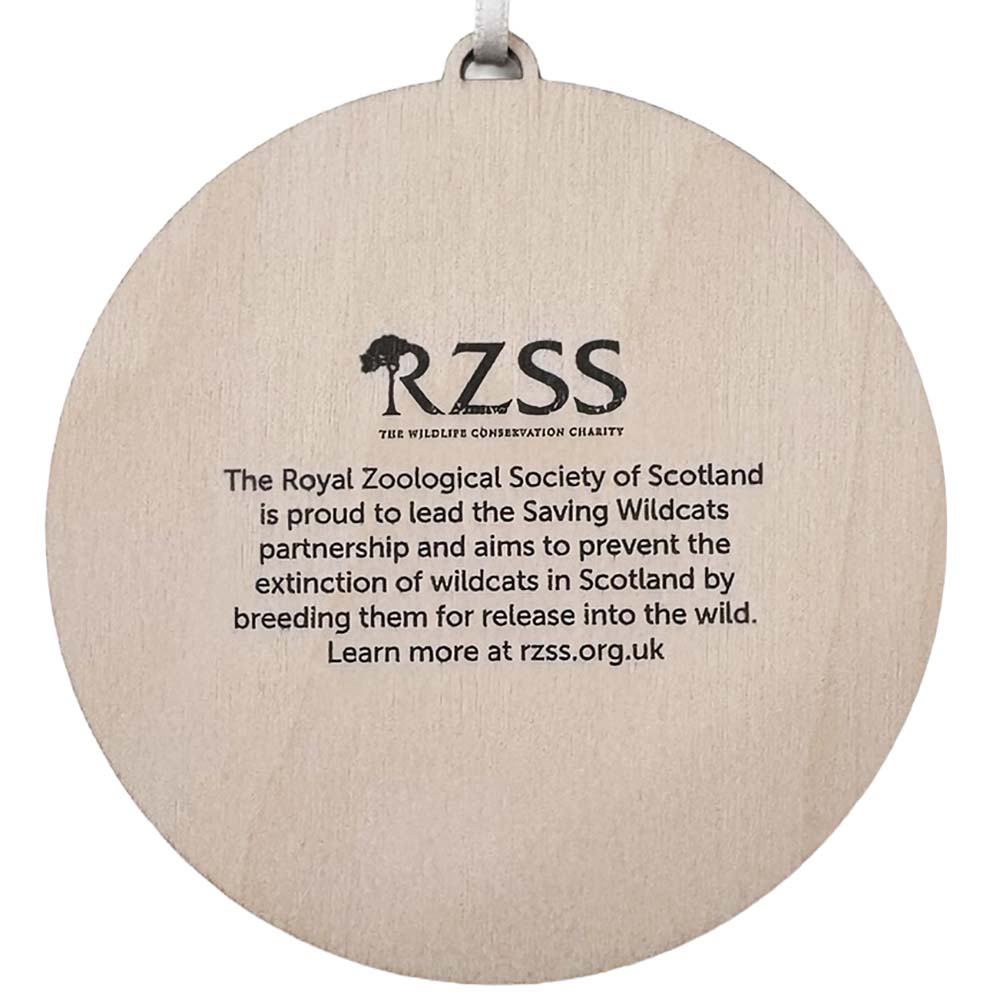 RZSS wildcat hanging decoration