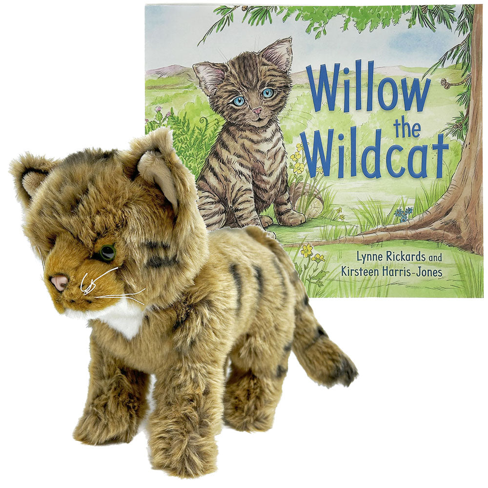 Wildcat fan children's gift