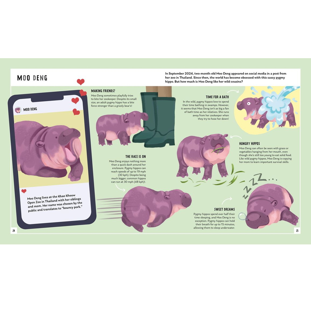 Young zoologist pygmy hippo book
