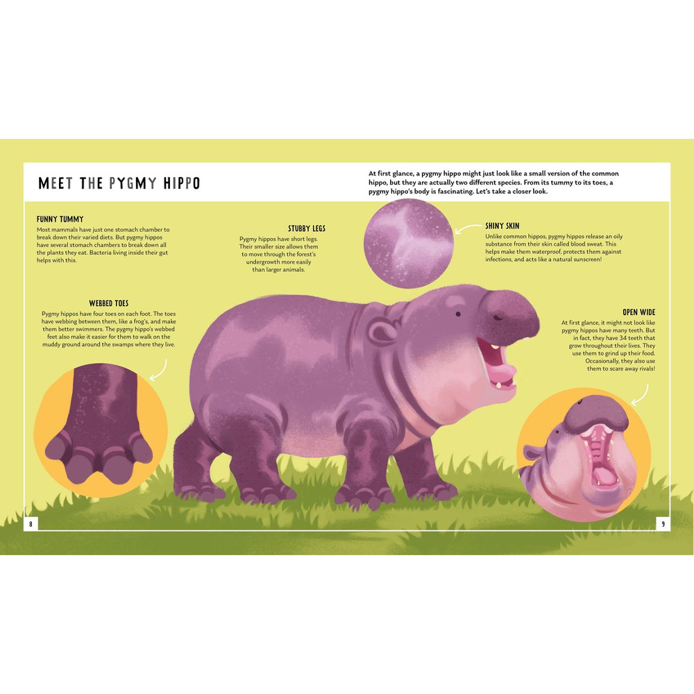 Young zoologist pygmy hippo book