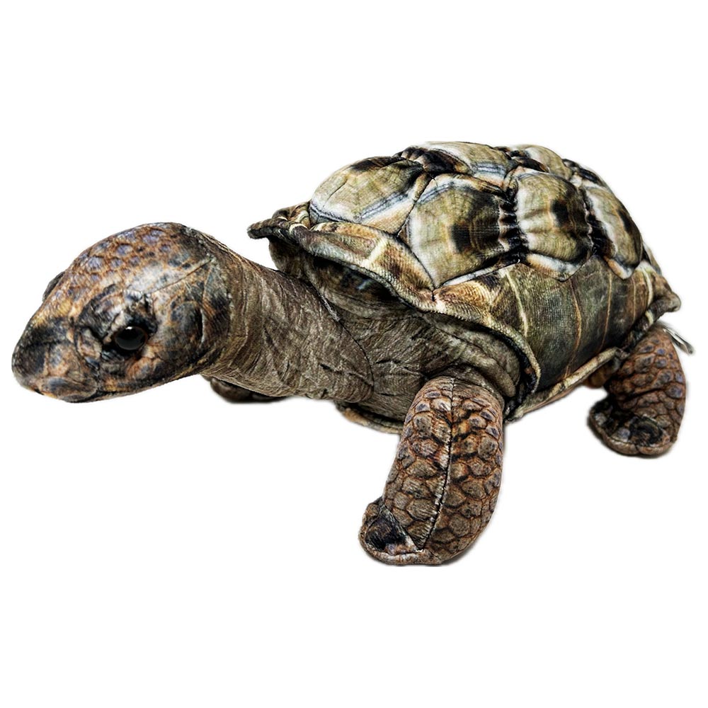 This Eco Aldabra Tortoise soft toy from Zappi is 100% recycled, making him not only cute but also good for the environment. A unique printed plush body with shell ridges, shaped toes and beaded eyes.

27cm