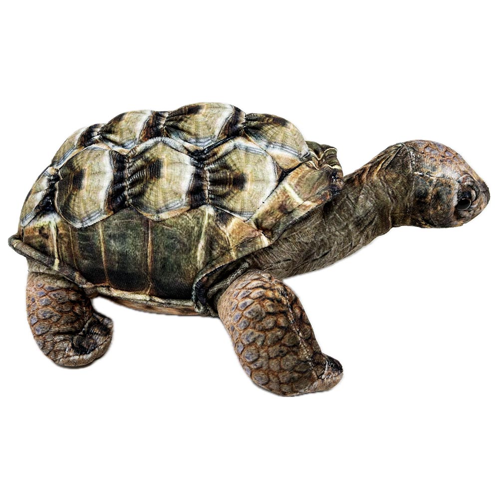 This Eco Aldabra Tortoise soft toy from Zappi is 100% recycled, making him not only cute but also good for the environment. A unique printed plush body with shell ridges, shaped toes and beaded eyes.

27cm