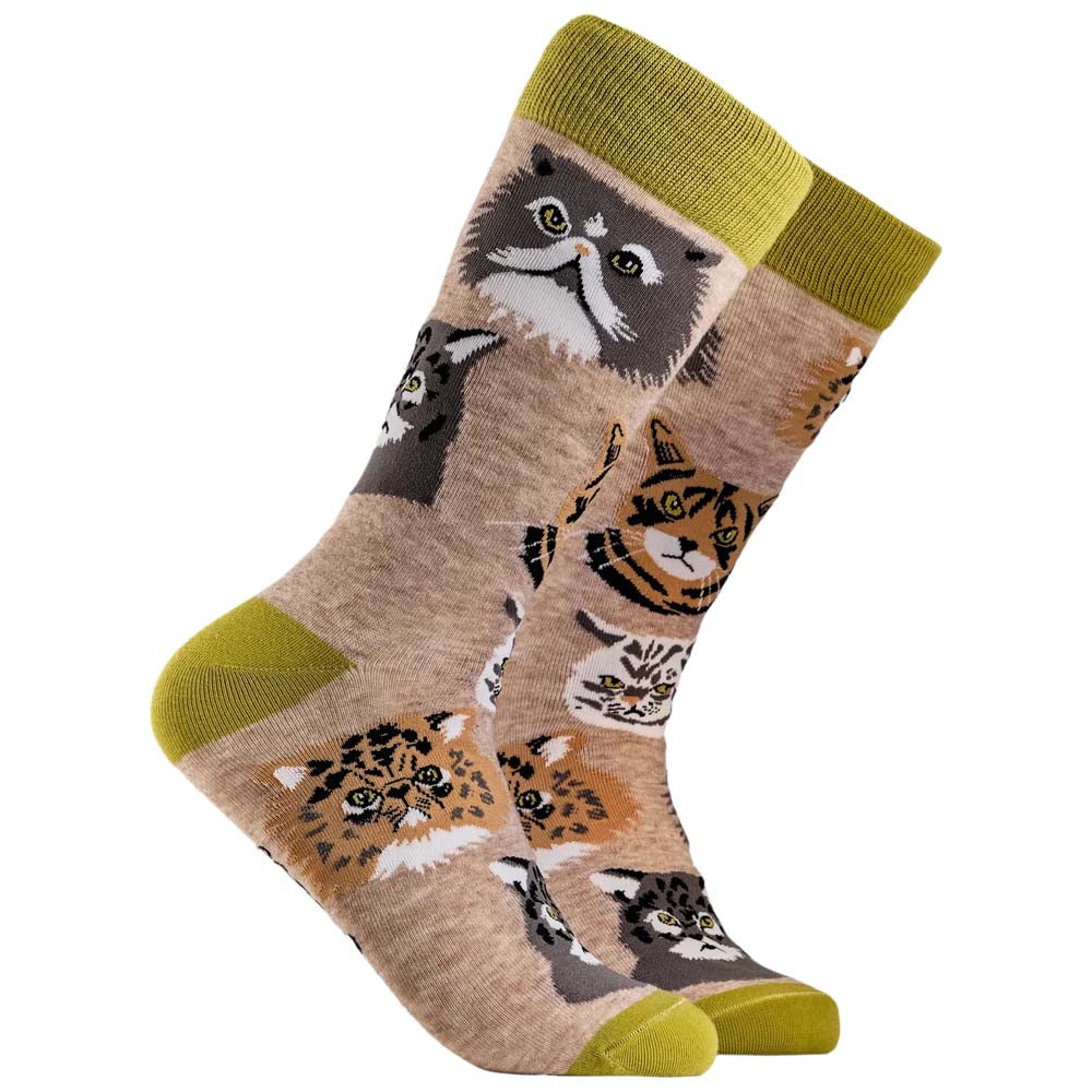Socktopus grumpy cats socks - oatmeal