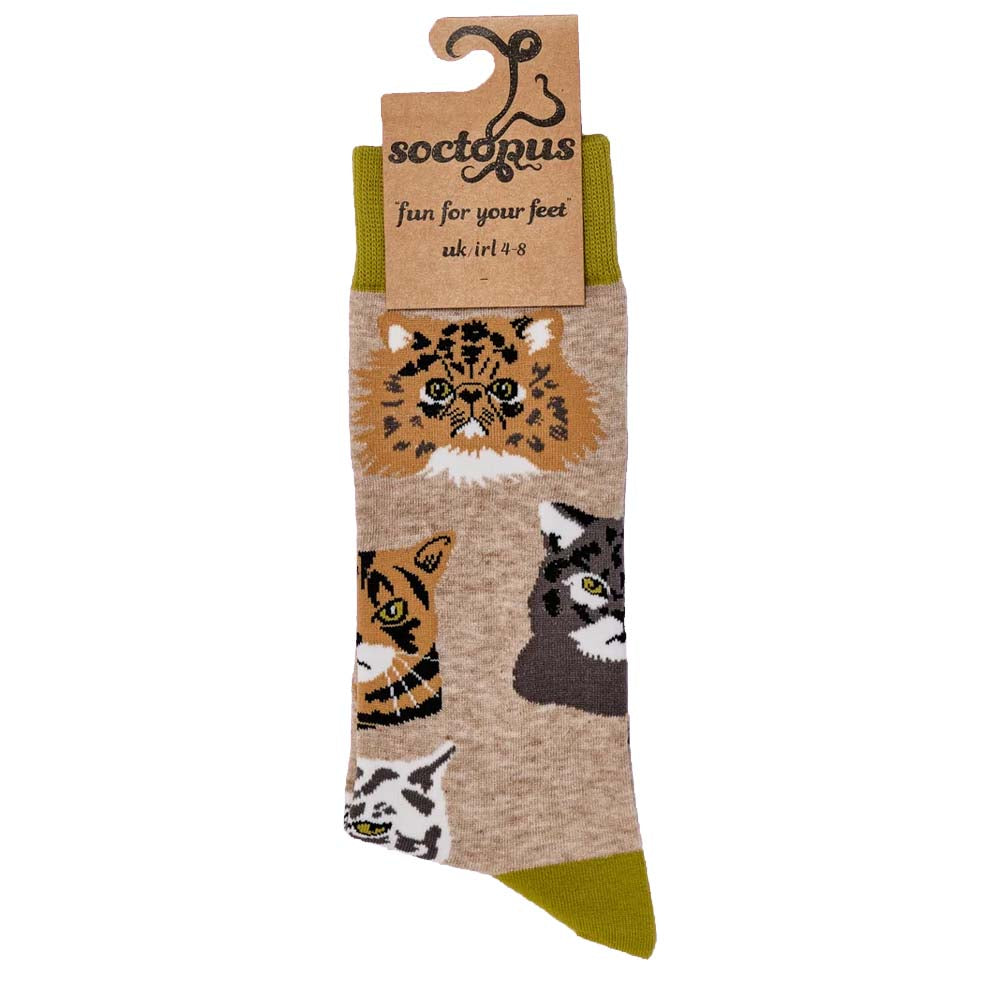 Socktopus grumpy cats socks - oatmeal