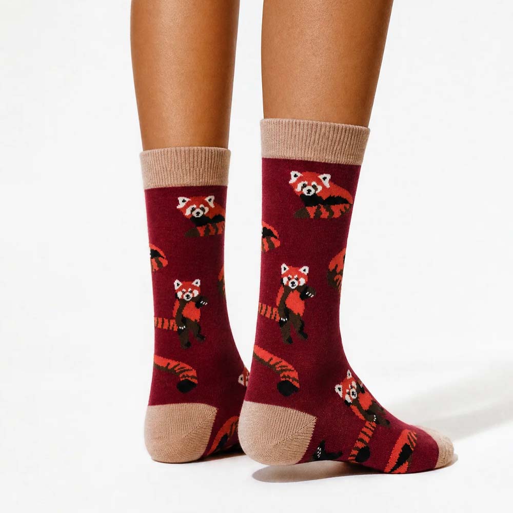 Socktopus red panda socks - burgundy