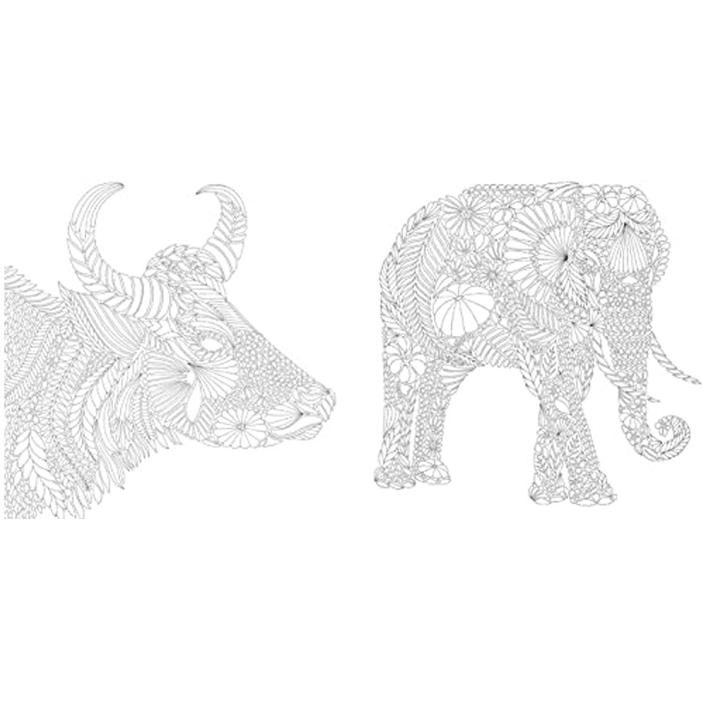 Brilliant Beasts Colouring Book by Millie Marotta