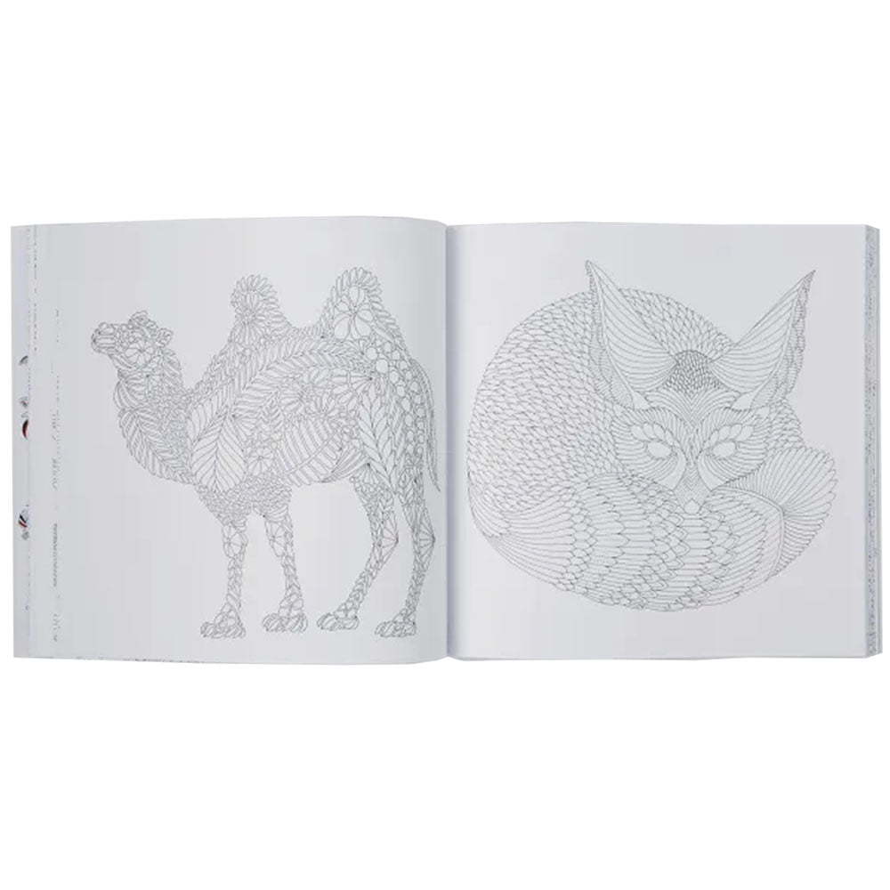 Curious Creatures Pocket Colouring Book by Millie Marotta