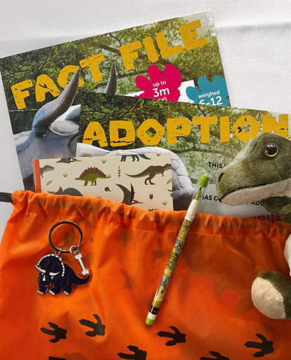 Triceratops Adoption Package