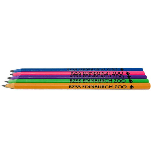 Edinburgh Zoo logo pencils are made from recycled plastic, but you would never know it, because just like wooden ones you can use a regular sharpener to sharpen when blunt.   Available in colours Green, Purple, Light Blue, Pink and Orange. 