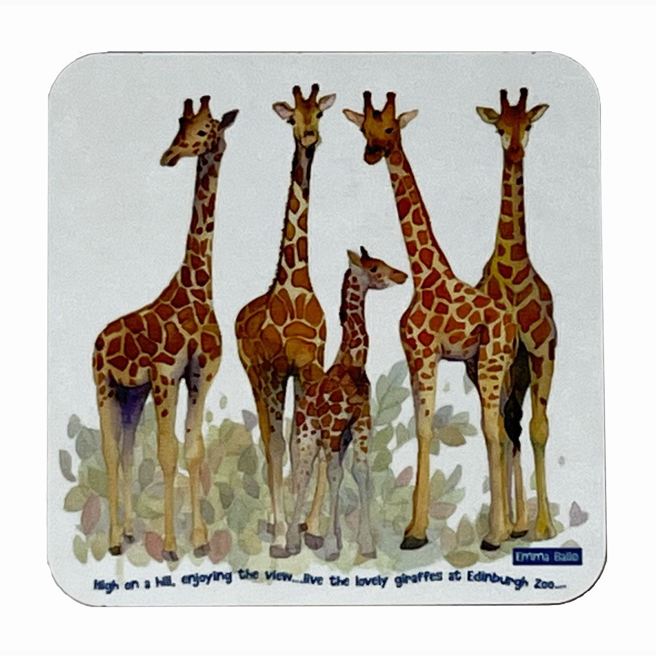 This coaster shows an Edinburgh Zoo exclusive giraffe design by Emma Ball. These coasters will make a great addition to any room and is a perfect gift!   The coaster will also go well with our Emma Ball Giraffe Placemats.   Designed and made in the UK.   Dimensions: 29 x 22cm.