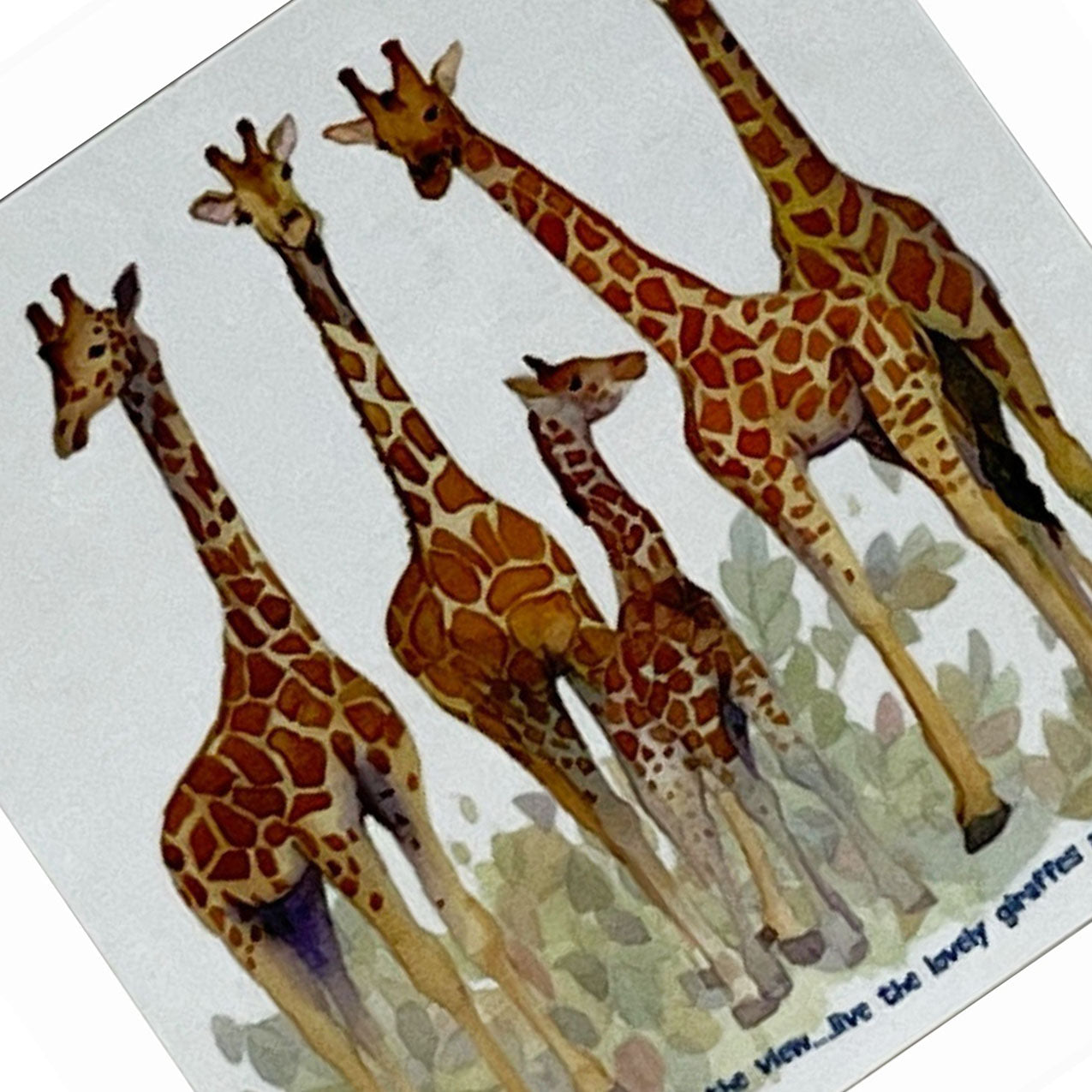 Emma Ball Giraffes Coaster