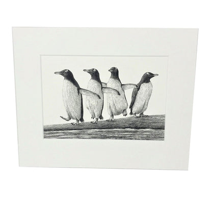 Mounted print of a pencil drawing from artist Anthony Wyatt. Print is of Gentoo penguin's on white mount.   Dimensions: 10x8 including mount. 