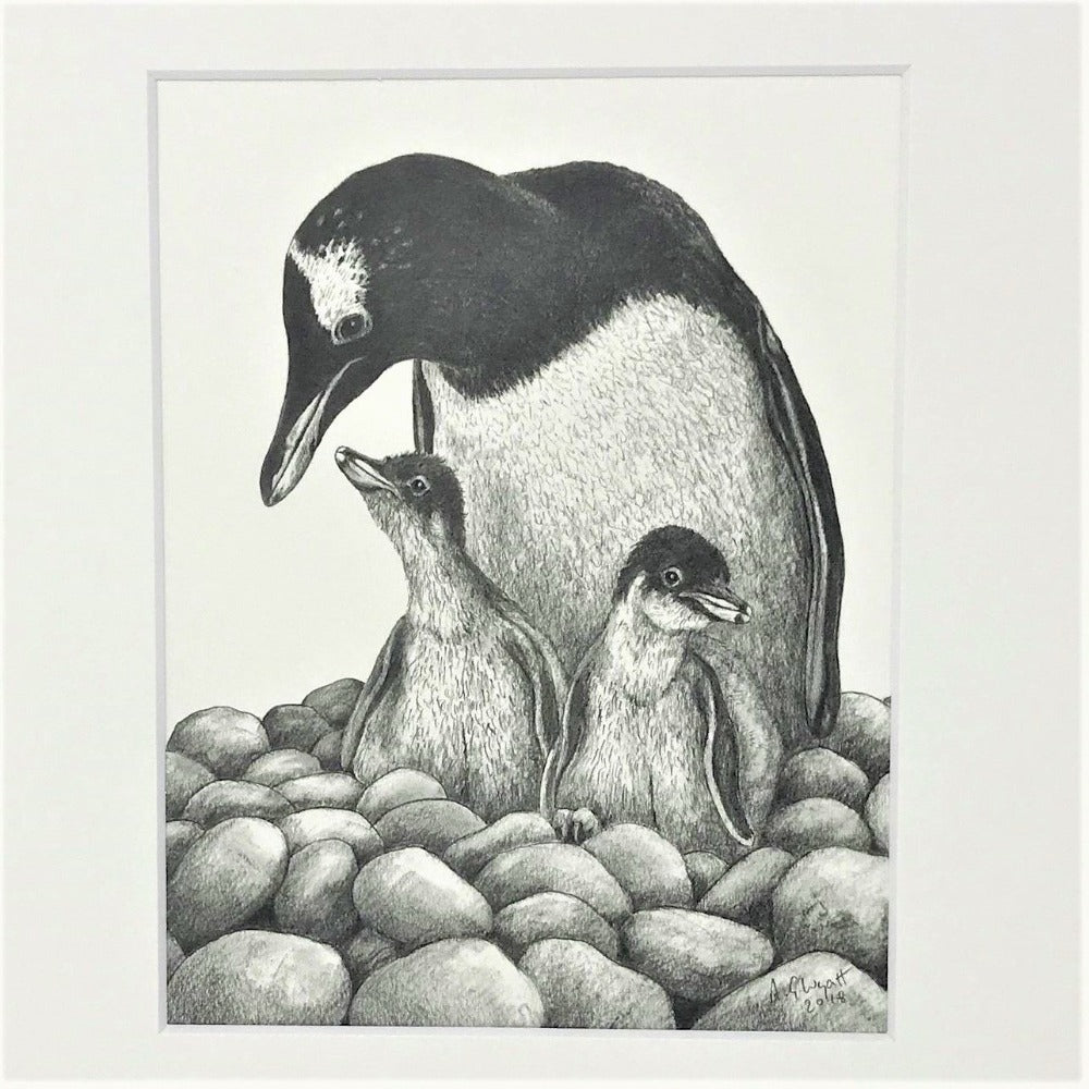 Mounted print of a pencil drawing from artist Anthony Wyatt. Print is of a Gentoo penguin and chicks on white mount.   Dimensions: 10x8 including mount. 