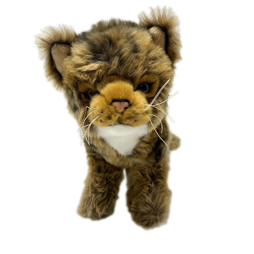 This Scottish wildcat soft toy is so soft and cuddly. A bespoke product, made for the RZSS wildcat conservation project. Find out more about this project by visiting rzss.org.uk/wildcats.   By purchasing this wildcat, you will also be supporting an education project in Nepal through Plan International.   The wildcat toy stands approximately 22cm (7.5") tall.  Exclusive Royal Zoological Society of Scotland conservation logo on the label. 