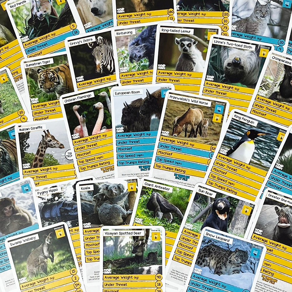 Exclusive edition of the popular Top Trumps card game, featuring 30 animals found at either Edinburgh Zoo, Highland Wildlife Park or both sites. Find out some fascinating facts including "who is the most mischievous" while you play. Buy online to receive a Super Top Trumps card, exclusive to RZSS. Suitable for ages 6+. Comes in Edinburgh Zoo Yellow or Highland Wildlife Park Blue.