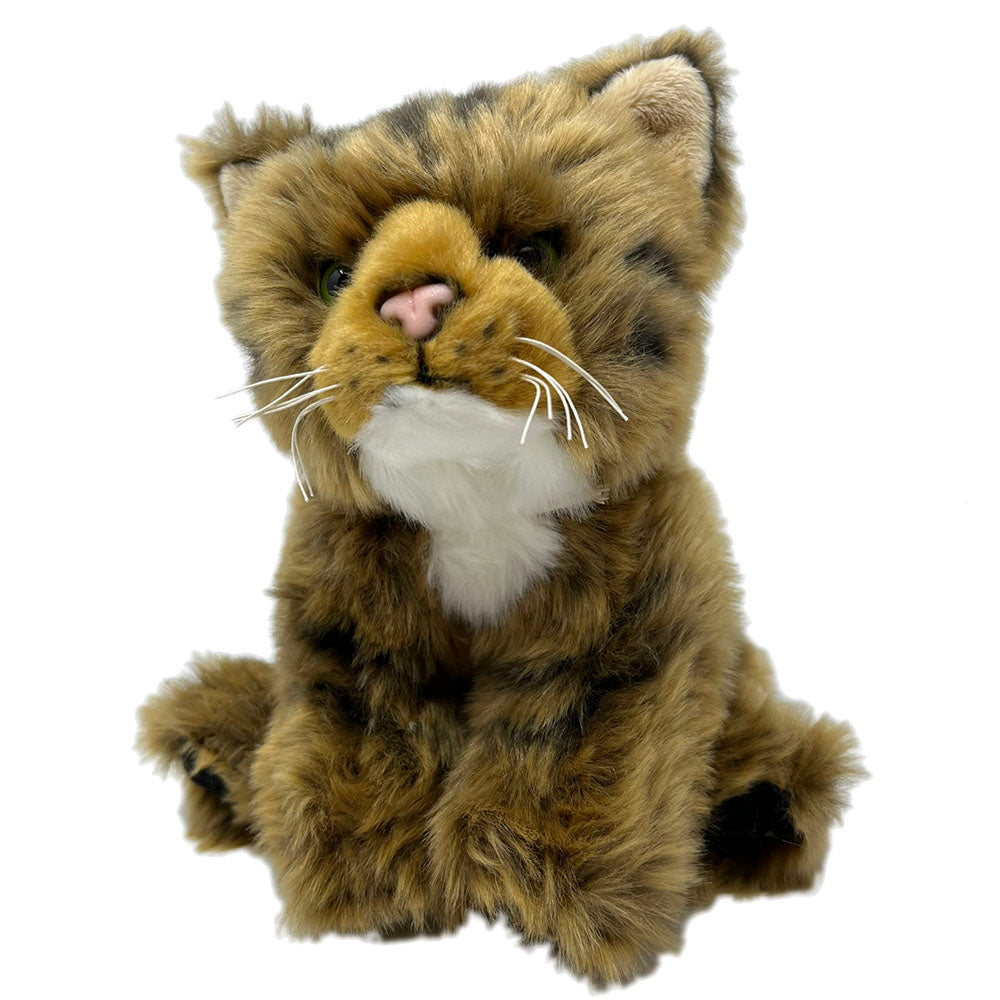 This Scottish wildcat kitten soft toy is so soft and cuddly. A bespoke product, made for the RZSS wildcat conservation project. Find out more about this project by visiting http://rzss.org.uk/wildcats RZSS Wildcat Conservation Project. By purchasing this wildcat, you will also be supporting an education project in Nepal through Plan International. The wildcat toy stands approximately 18cm (7") tall. Exclusive Royal Zoological Society of Scotland conservation logo on the label.