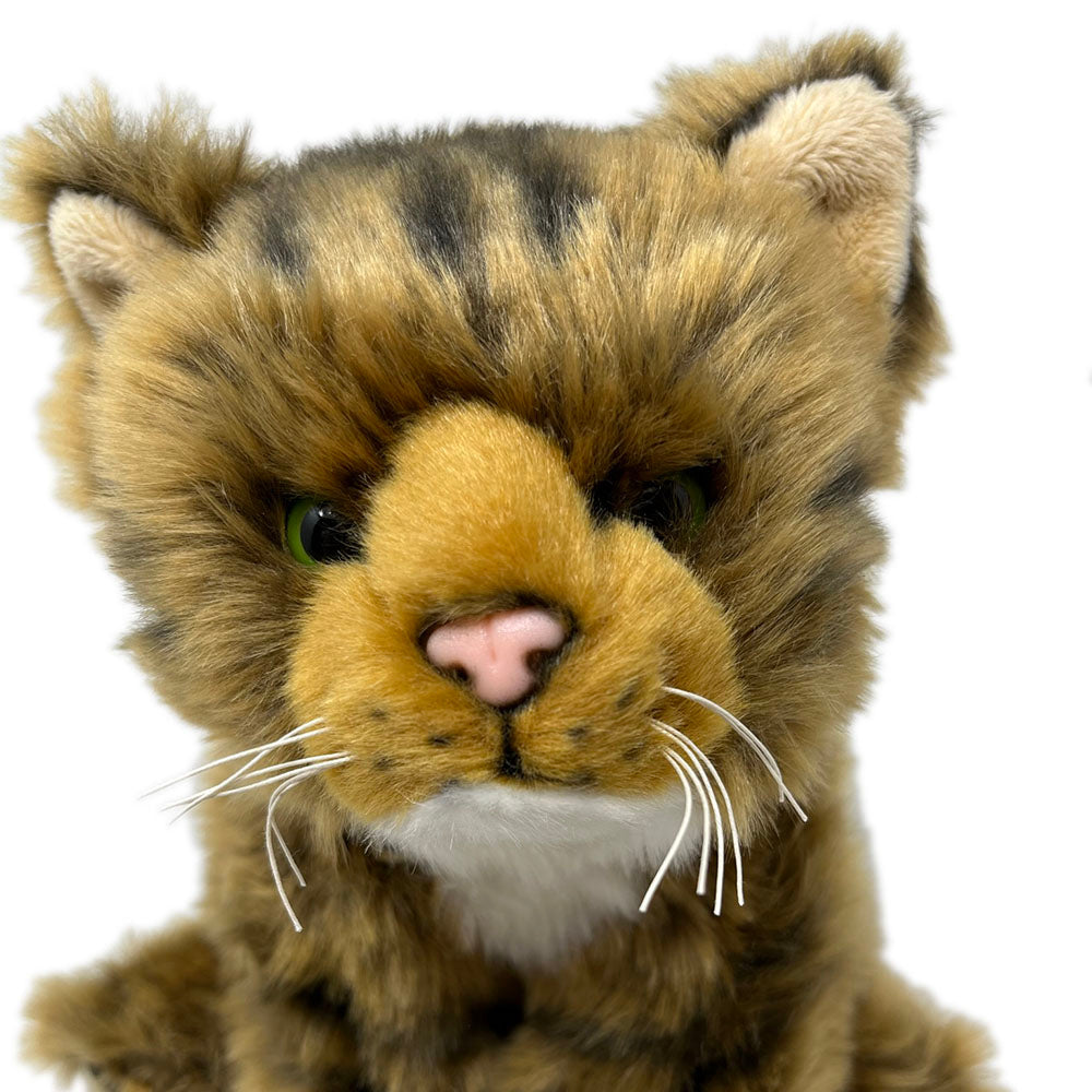 This Scottish wildcat kitten soft toy is so soft and cuddly. A bespoke product, made for the RZSS wildcat conservation project. Find out more about this project by visiting http://rzss.org.uk/wildcats RZSS Wildcat Conservation Project. By purchasing this wildcat, you will also be supporting an education project in Nepal through Plan International. The wildcat toy stands approximately 18cm (7") tall. Exclusive Royal Zoological Society of Scotland conservation logo on the label.