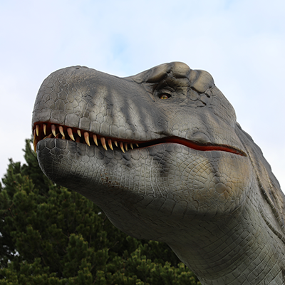 Tyrannosaurus Rex Adoption Package