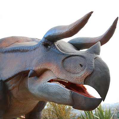 Triceratops Adoption Package